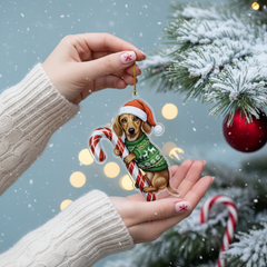 Cute Dachshund Brown Dog Hugging Candy Cane 2D Flat Acrylic Ornament - Christmas Tree Decoration, Dog Lover Gifts 2025
